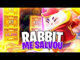 fortune rabbit coelho